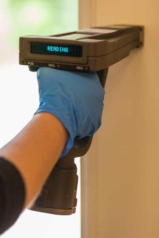 Lead Based Paint Inspection Service